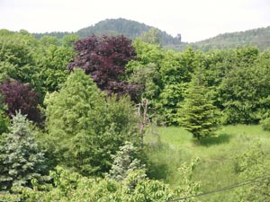 Blick zum Papststein